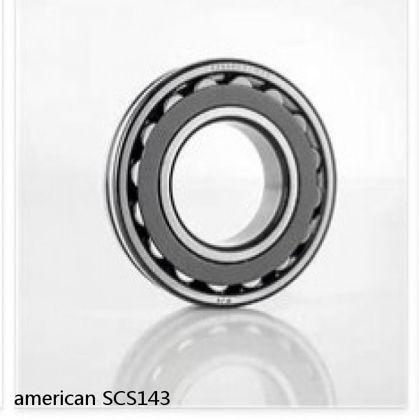american SCS143 JOURNAL CYLINDRICAL ROLLER BEARING