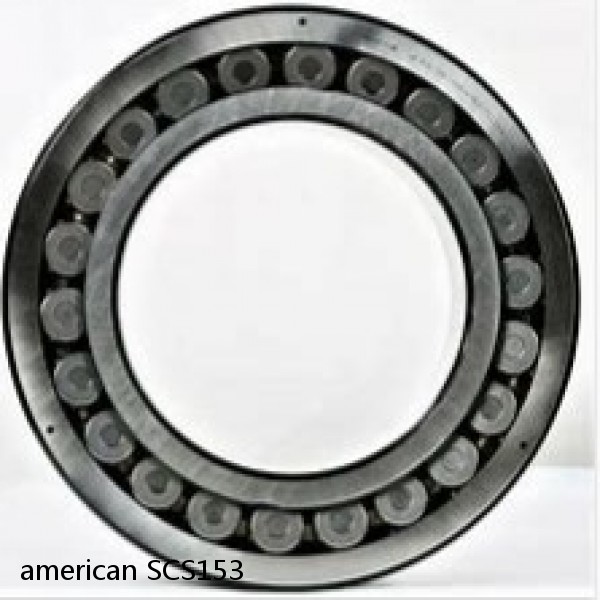 american SCS153 JOURNAL CYLINDRICAL ROLLER BEARING