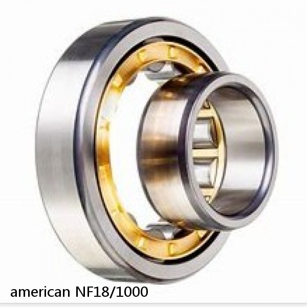 american NF18/1000 SINGLE ROW CYLINDRICAL ROLLER BEARING