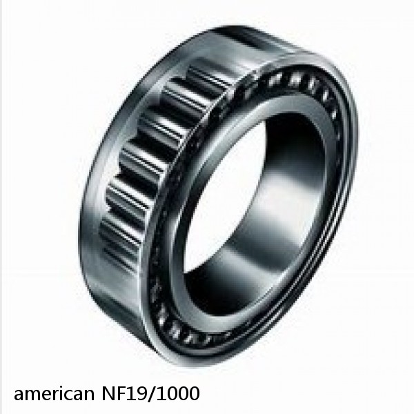 american NF19/1000 SINGLE ROW CYLINDRICAL ROLLER BEARING