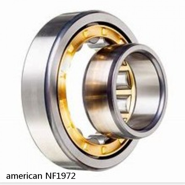 american NF1972 SINGLE ROW CYLINDRICAL ROLLER BEARING