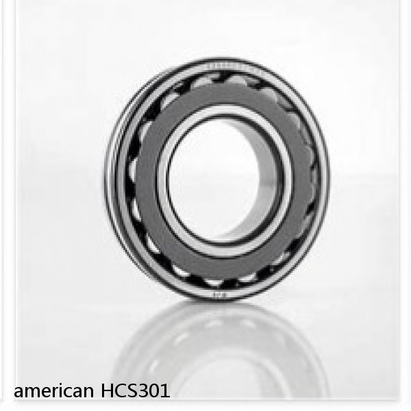 american HCS301 JOURNAL CYLINDRICAL ROLLER BEARING #1 small image