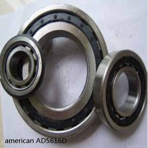 american AD5616D MULTIROW CYLINDRICAL ROLLER BEARING