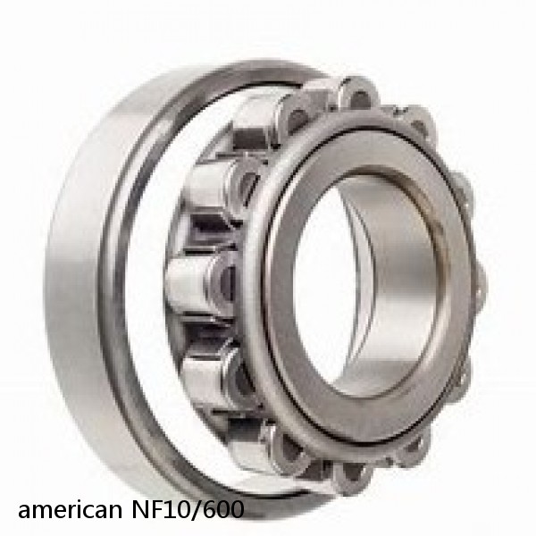 american NF10/600 SINGLE ROW CYLINDRICAL ROLLER BEARING #1 small image