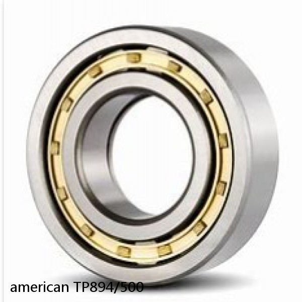 american TP894/500 CYLINDRICAL ROLLER BEARING #1 image