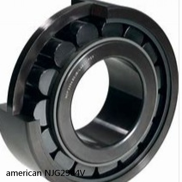 american NJG2964V FULL SINGLE CYLINDRICAL ROLLER BEARING #1 image