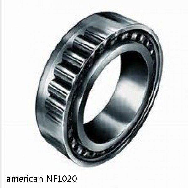 american NF1020 SINGLE ROW CYLINDRICAL ROLLER BEARING #1 image