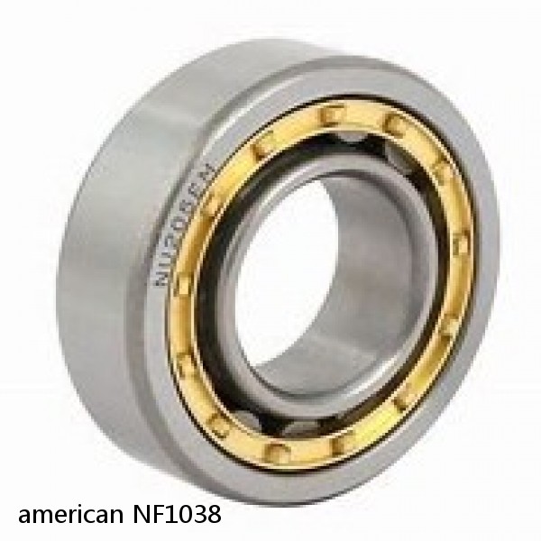 american NF1038 SINGLE ROW CYLINDRICAL ROLLER BEARING #1 image