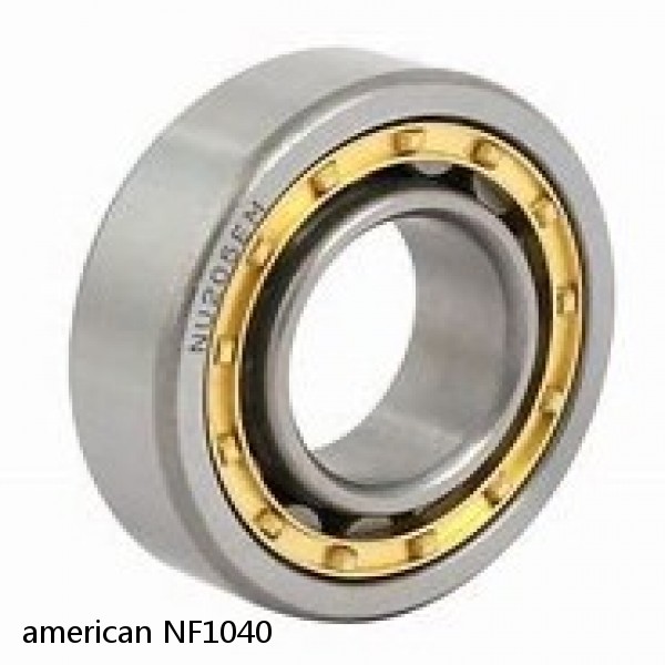 american NF1040 SINGLE ROW CYLINDRICAL ROLLER BEARING #1 image