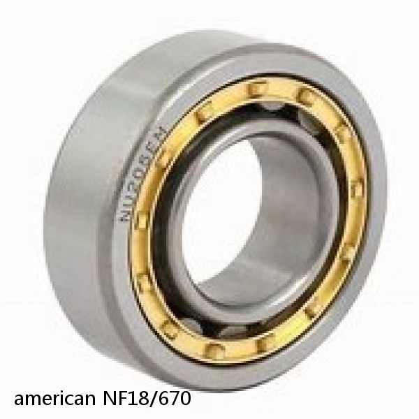 american NF18/670 SINGLE ROW CYLINDRICAL ROLLER BEARING #1 image